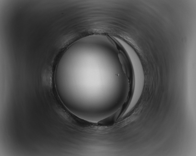 X0000088620446200705251244