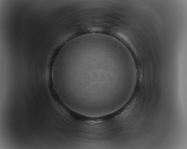 X0000088620447200705251244