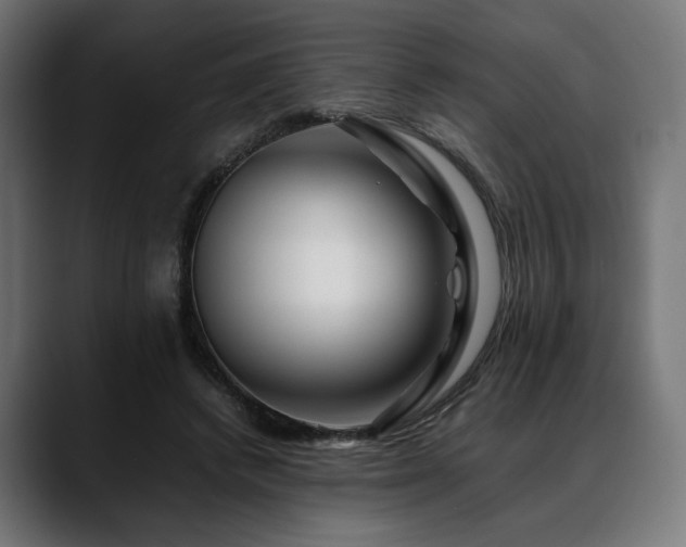 X0000088620448200705251244