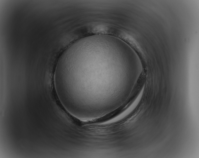 X0000088620449200705251245