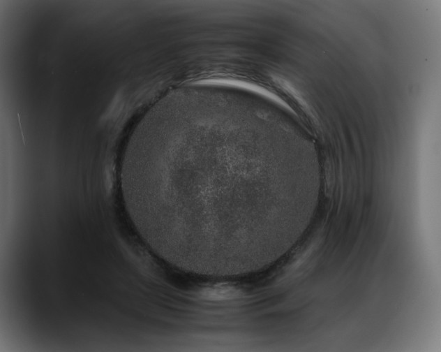 X0000088620451200705251245
