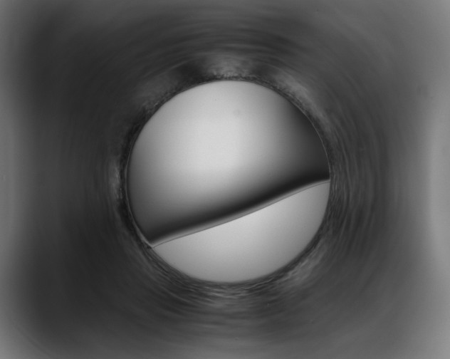 X0000088620453200705251245