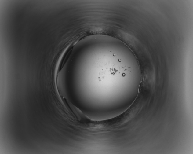 X0000088620454200705251245