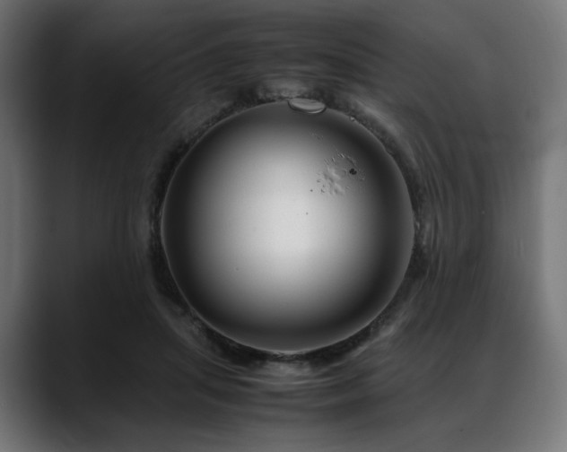 X0000088620455200705251245