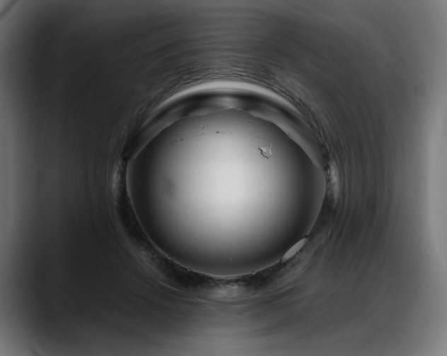 X0000088620456200705251245