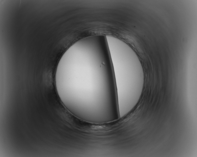 X0000088620457200705251245