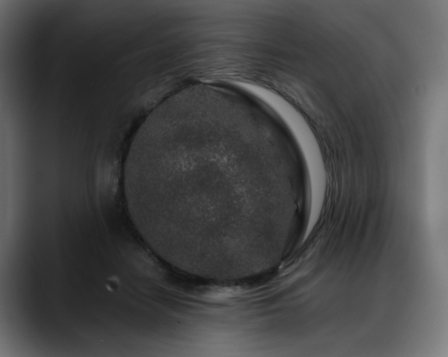X0000088620458200705251245