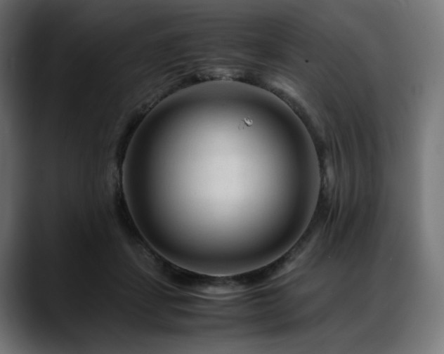 X0000088620459200705251245