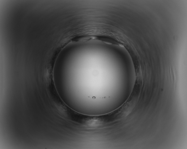 X0000088620460200705251245