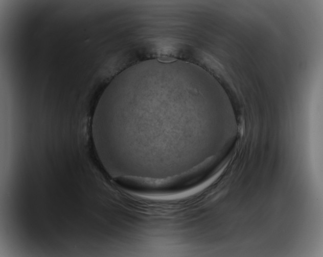 X0000088620462200705251245