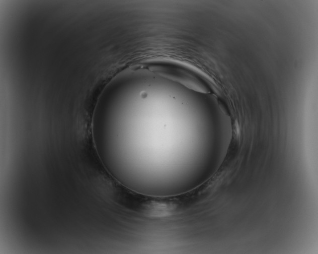 X0000088620464200705251245