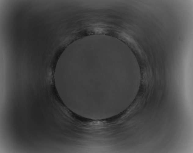 X0000088620465200705251245