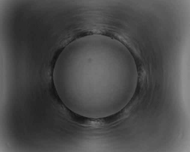 X0000088620466200705251245
