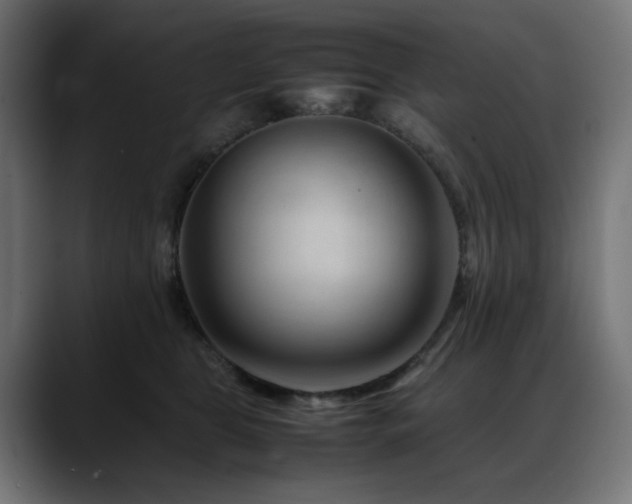X0000088620469200705251245