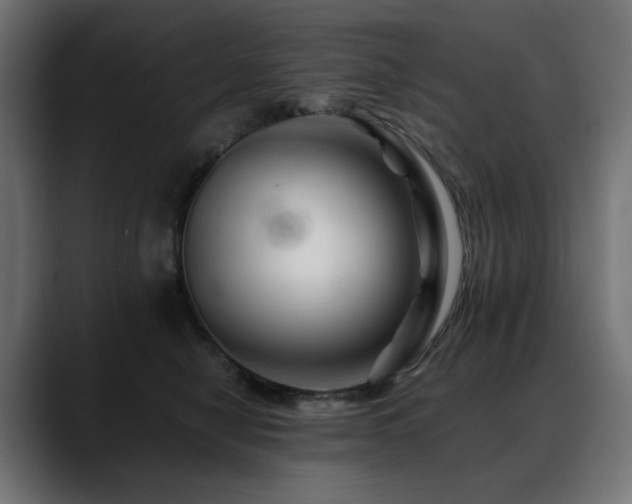 X0000088620470200705251245