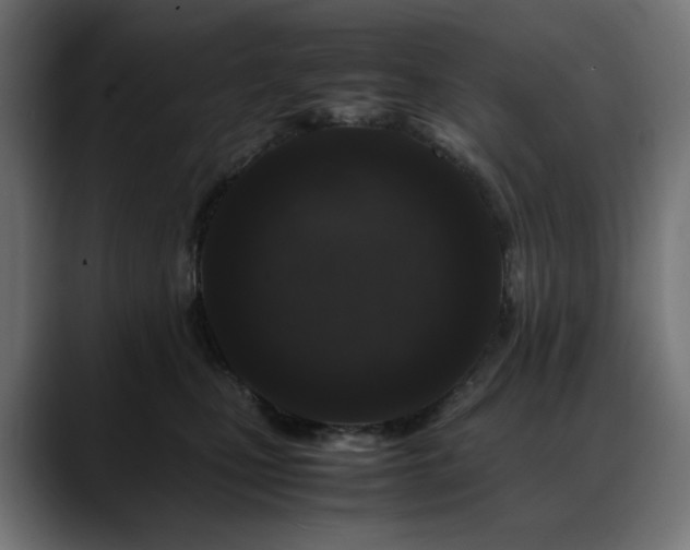 X0000088620471200705251245