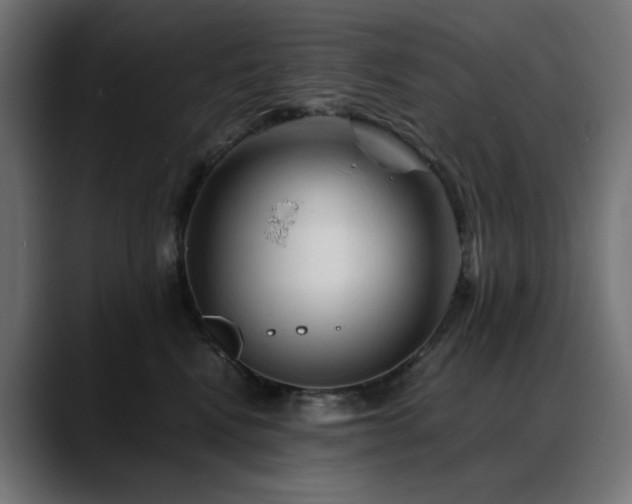 X0000088620472200705251245