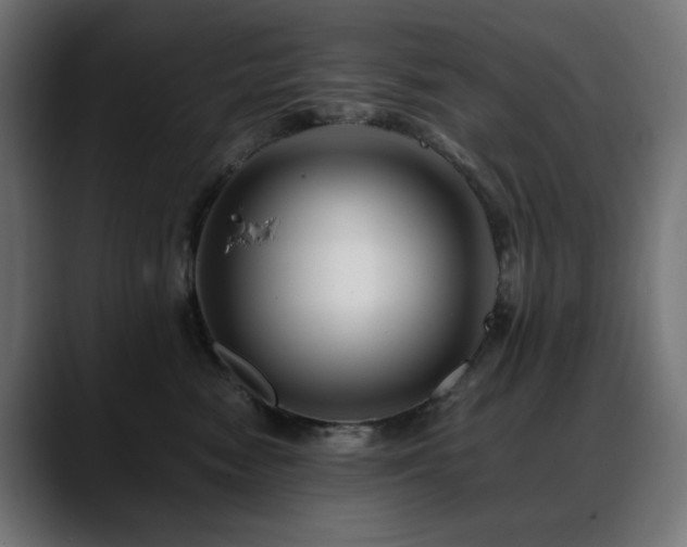 X0000088620474200705251245