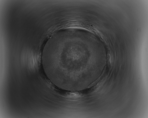 X0000088620475200705251245
