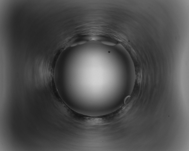 X0000088620476200705251245