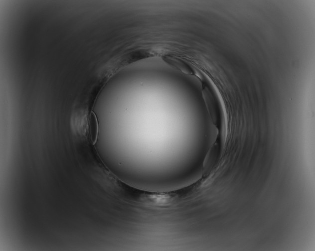 X0000088620478200705251245