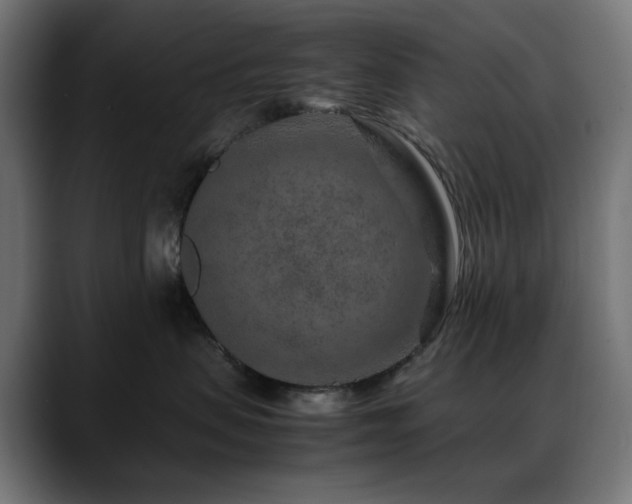 X0000088620479200705251245