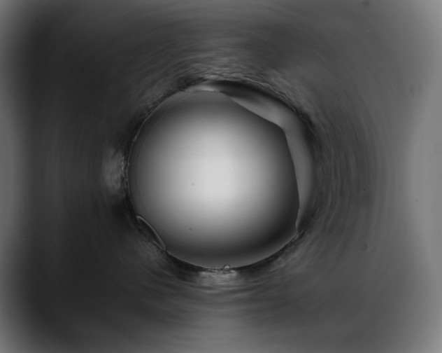 X0000088620480200705251245