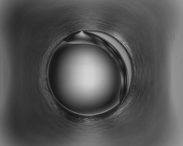 X0000088620481200705251244
