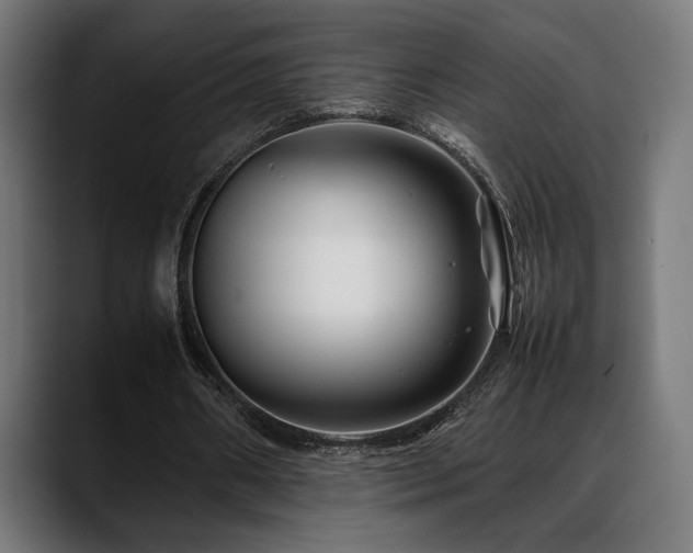 X0000088620482200705251244