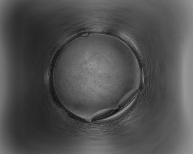 X0000088620483200705251244