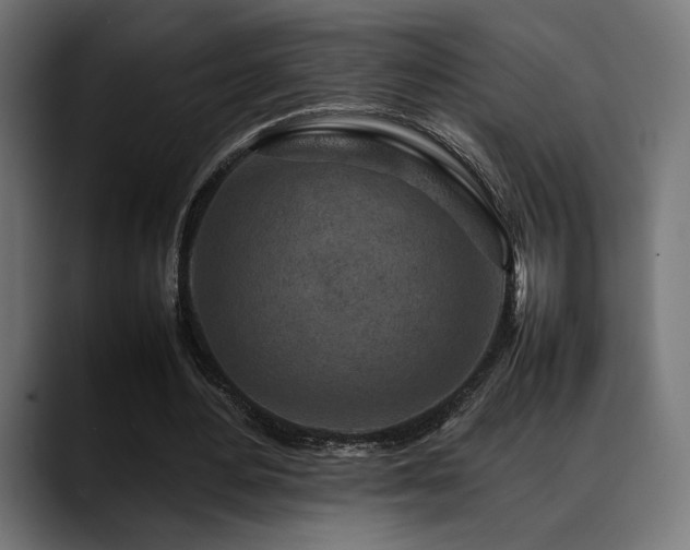X0000088620484200705251244