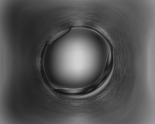 X0000088620485200705251244