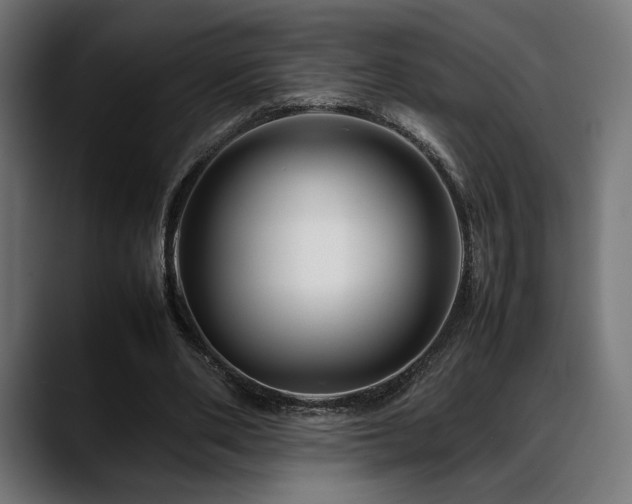 X0000088620486200705251244