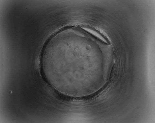 X0000088620487200705251244