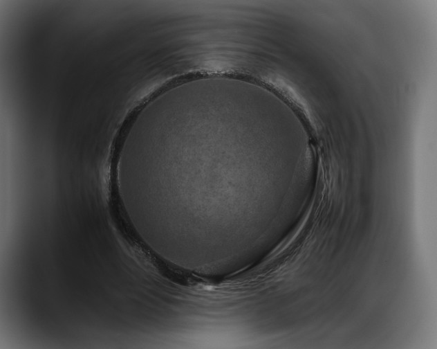 X0000088620488200705251244
