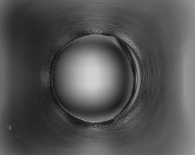 X0000088620489200705251244