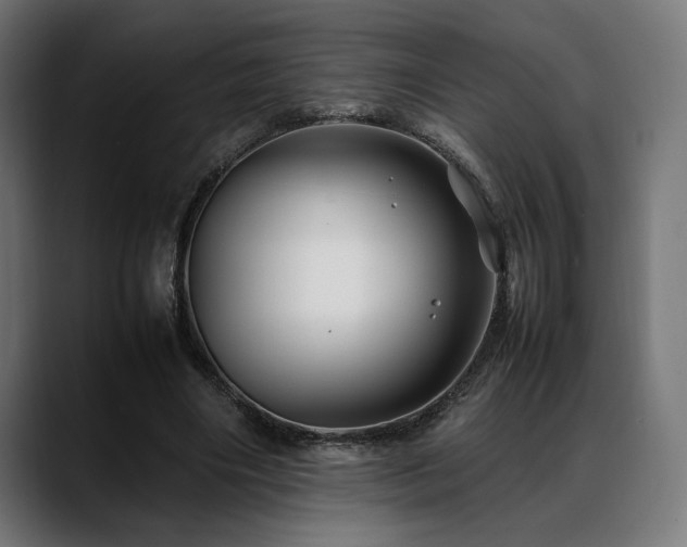 X0000088620490200705251244
