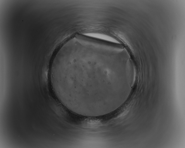 X0000088620491200705251244