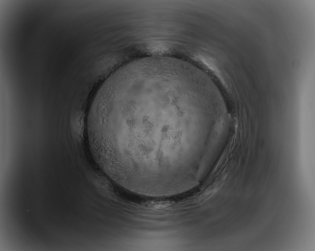 X0000088620495200705251244