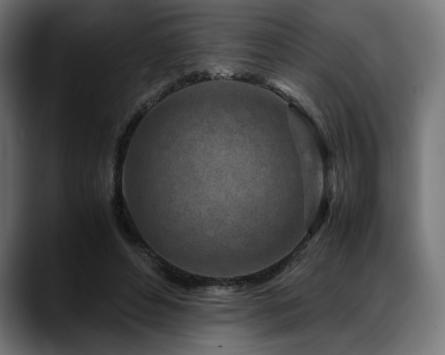 X0000088620496200705251244