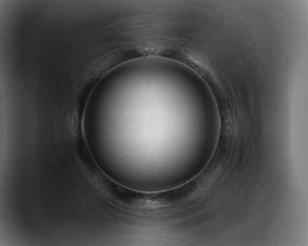 X0000088620498200705251244