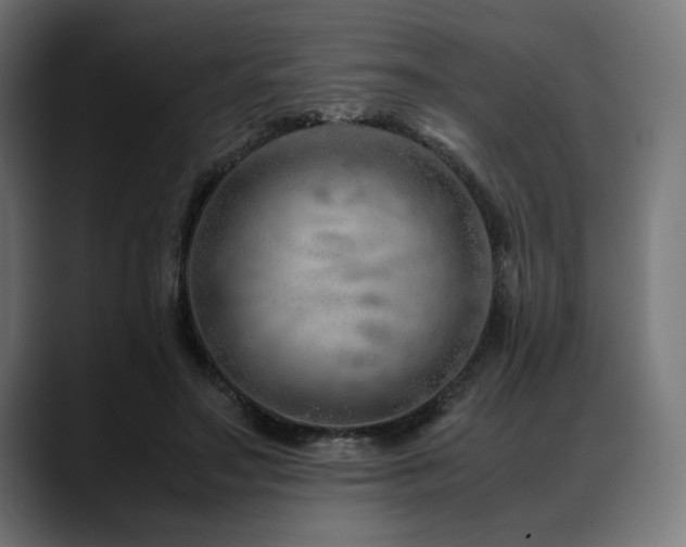 X0000088620499200705251244