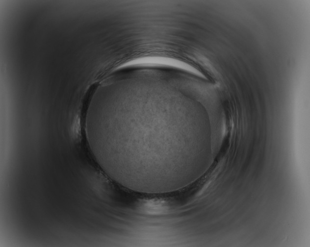 X0000088620500200705251244