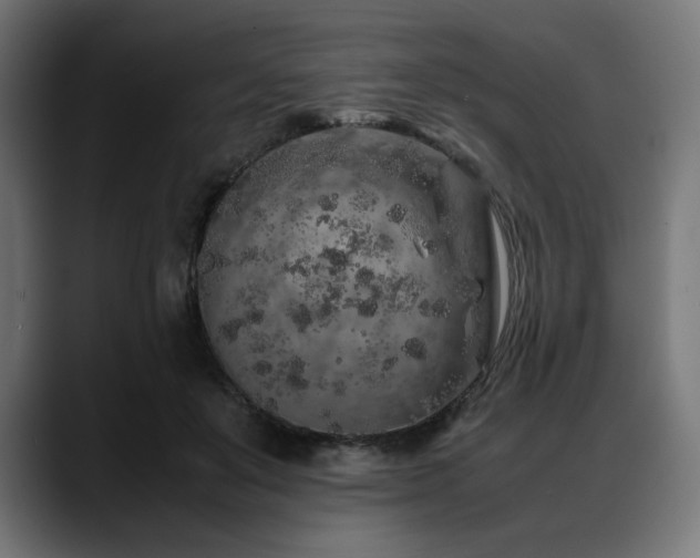 X0000088620503200705251244