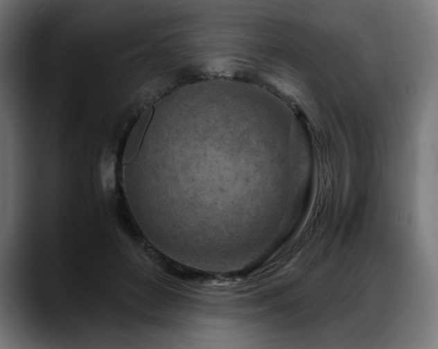 X0000088620504200705251244