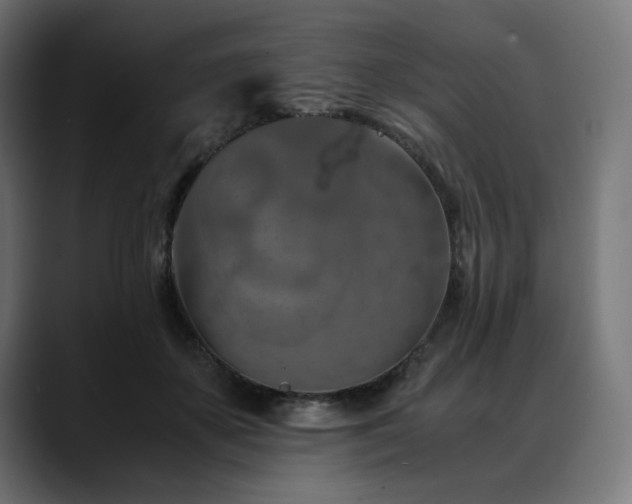 X0000088620507200705251244
