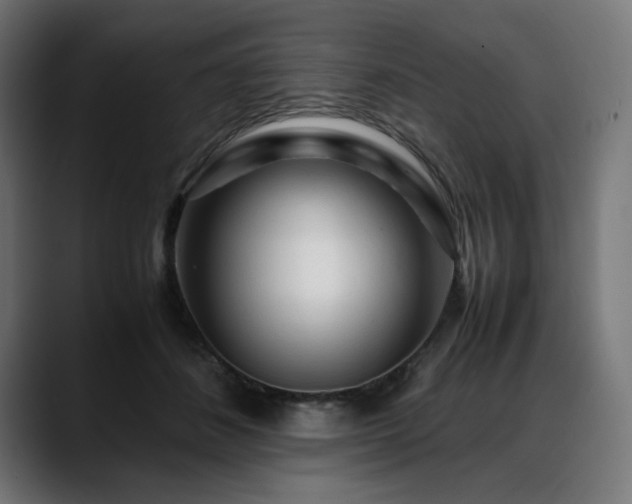 X0000088620508200705251244