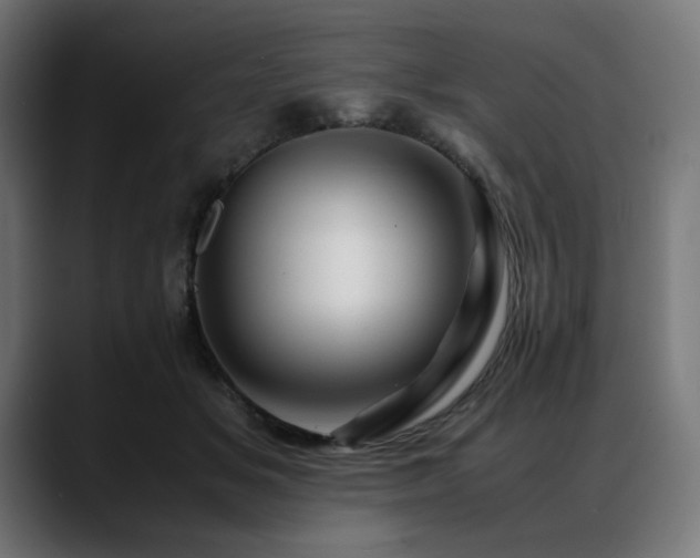 X0000088620509200705251244