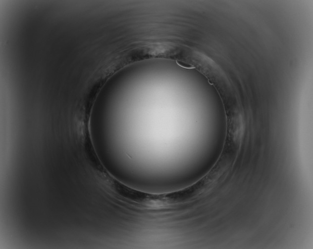 X0000088620510200705251244