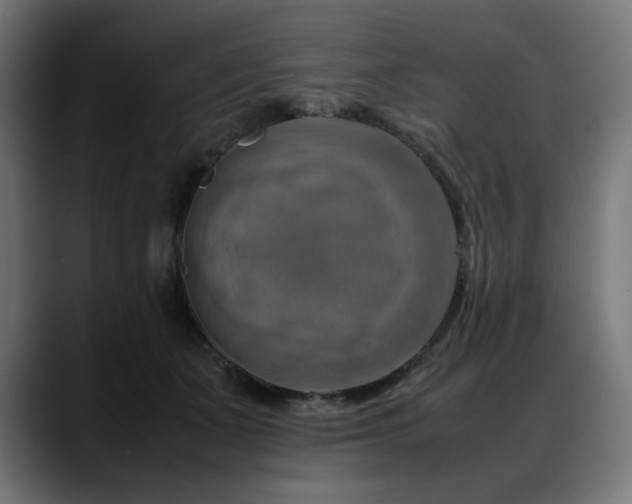 X0000088620511200705251244